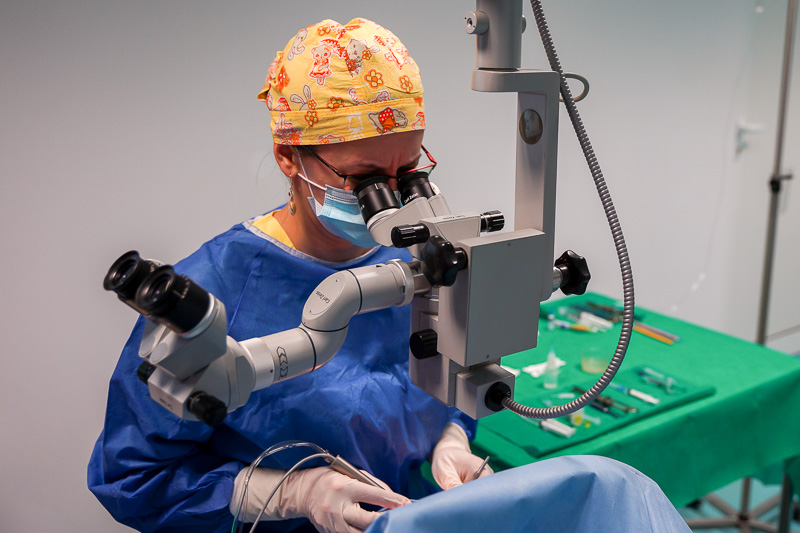 cursuri de perfecționare în oftalmologie 2021